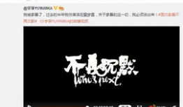 其他爆料博主是谁呀视频,是谁在视频背后掀起舆论风暴？